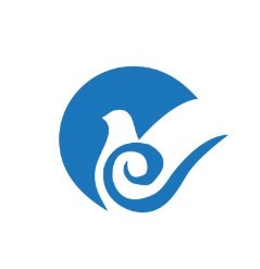大红雕商店